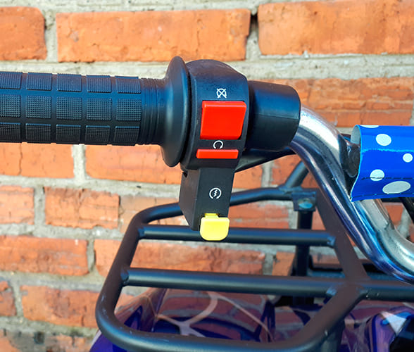 Купить Квадроцикл MOWGLI X16 в Москве фото6