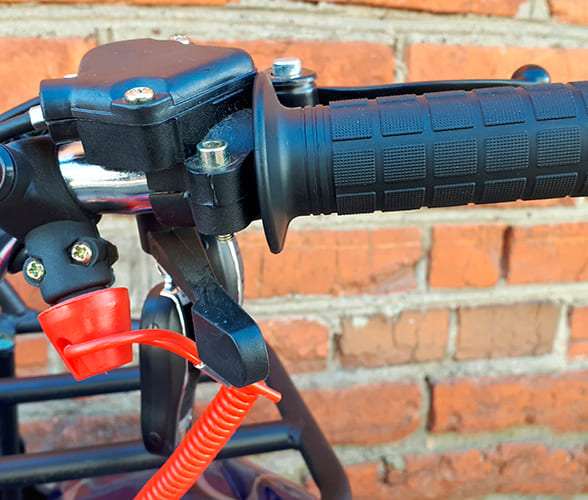 Купить Квадроцикл MOWGLI X16 в Москве фото8