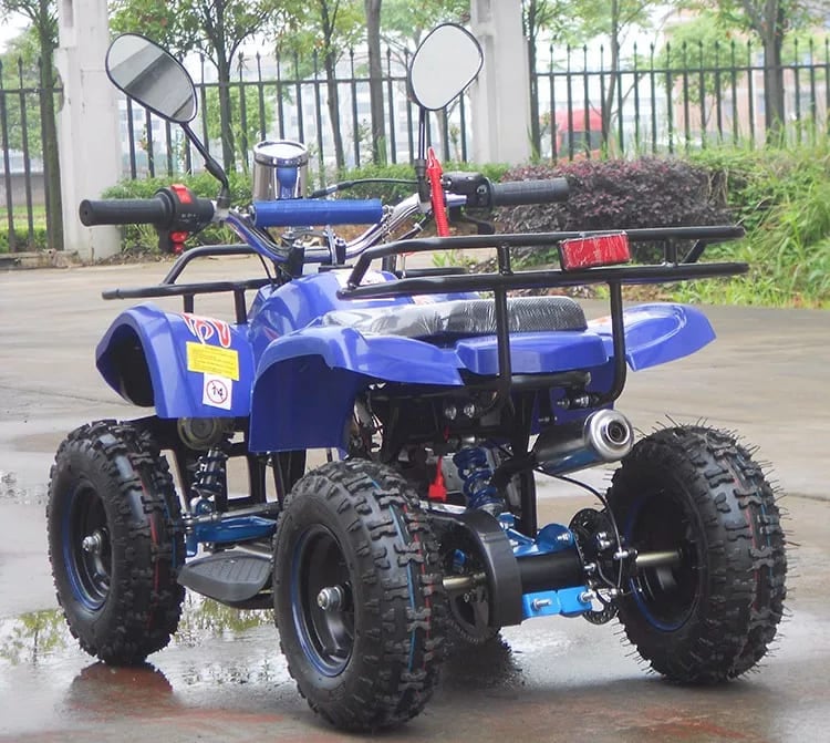 Купить Квадроцикл RAPTOR Max Pro 49cc (2024) в Москве фото3