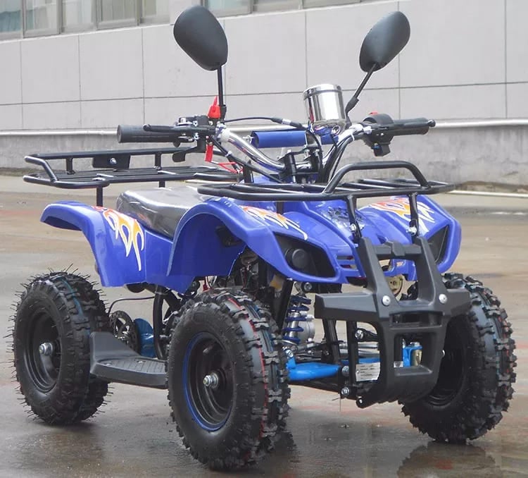 Купить Квадроцикл RAPTOR Max Pro 49cc (2024) в Москве фото4