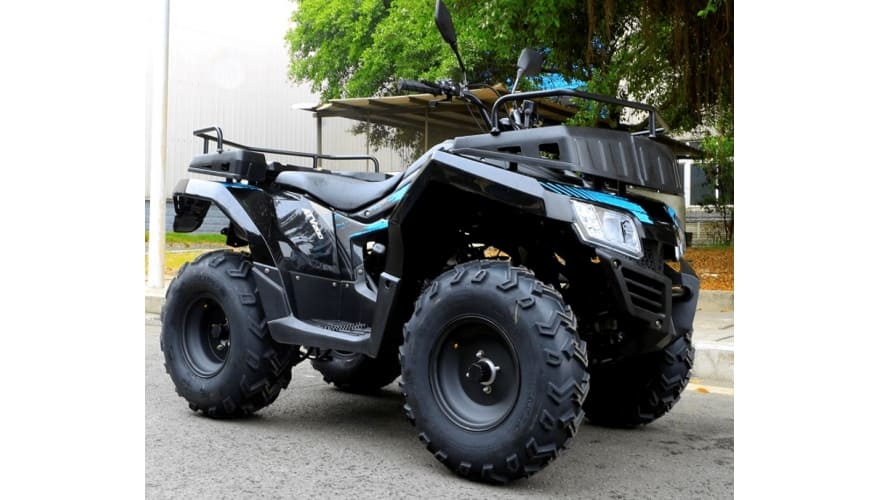 Купить Квадроцикл RATO 200 Simple в Москве фото3