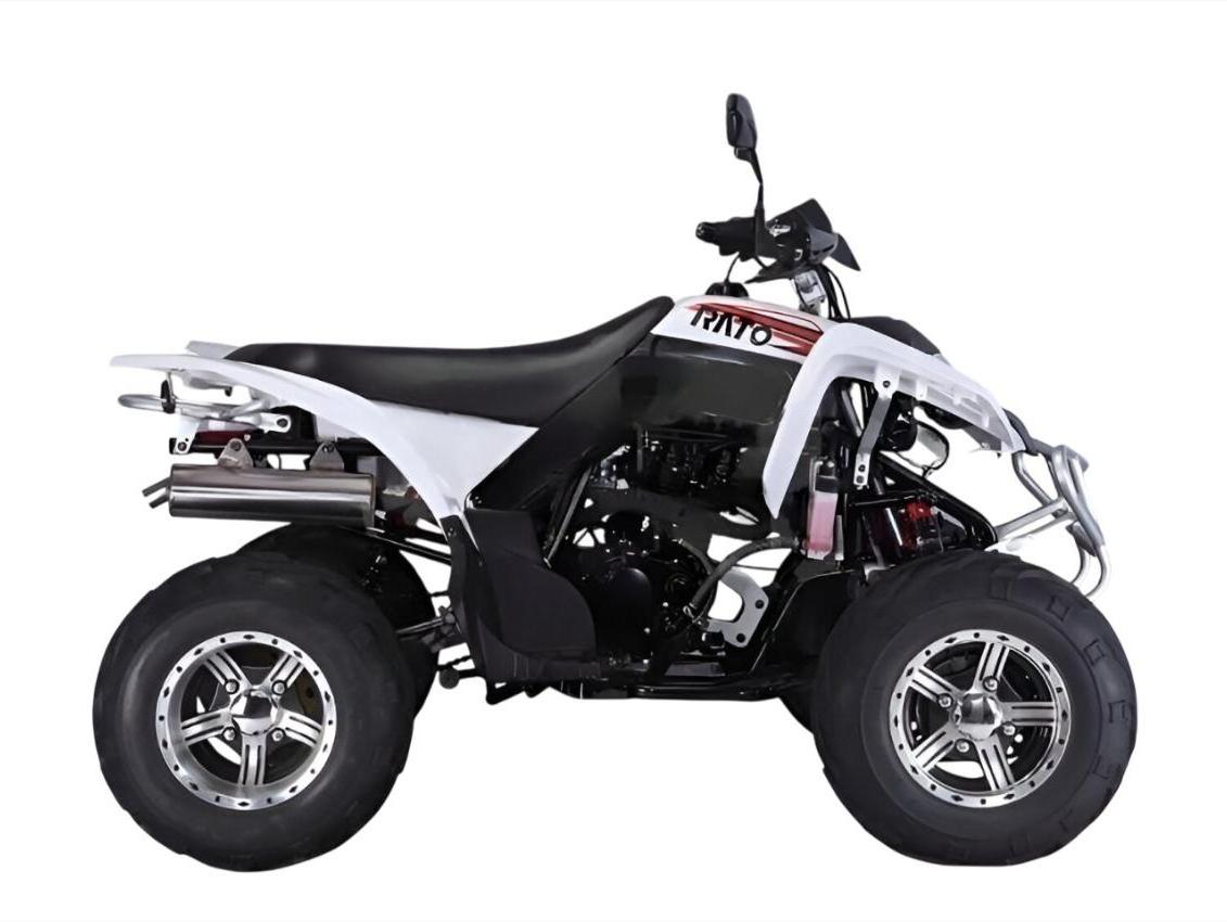 Купить Квадроцикл RATO RТ250SТ-2 в Москве