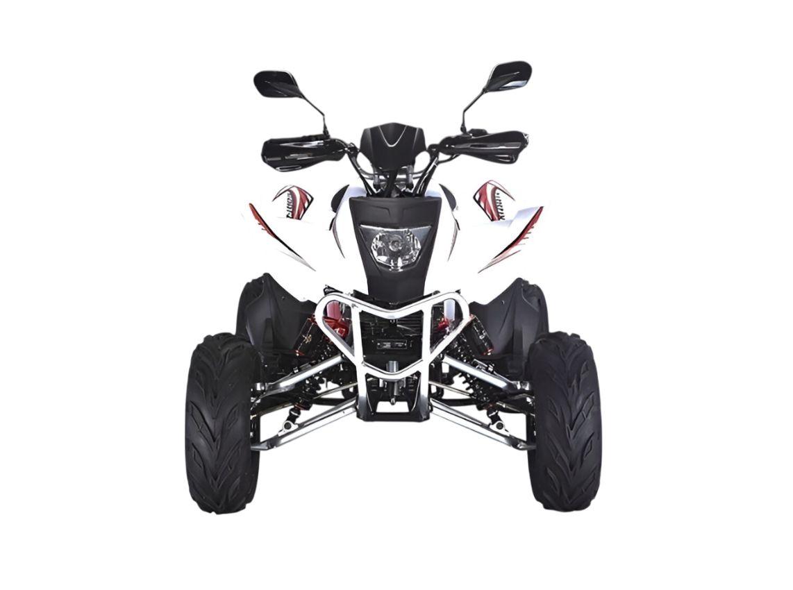 Купить Квадроцикл RATO RТ250SТ-2 в Москве фото2