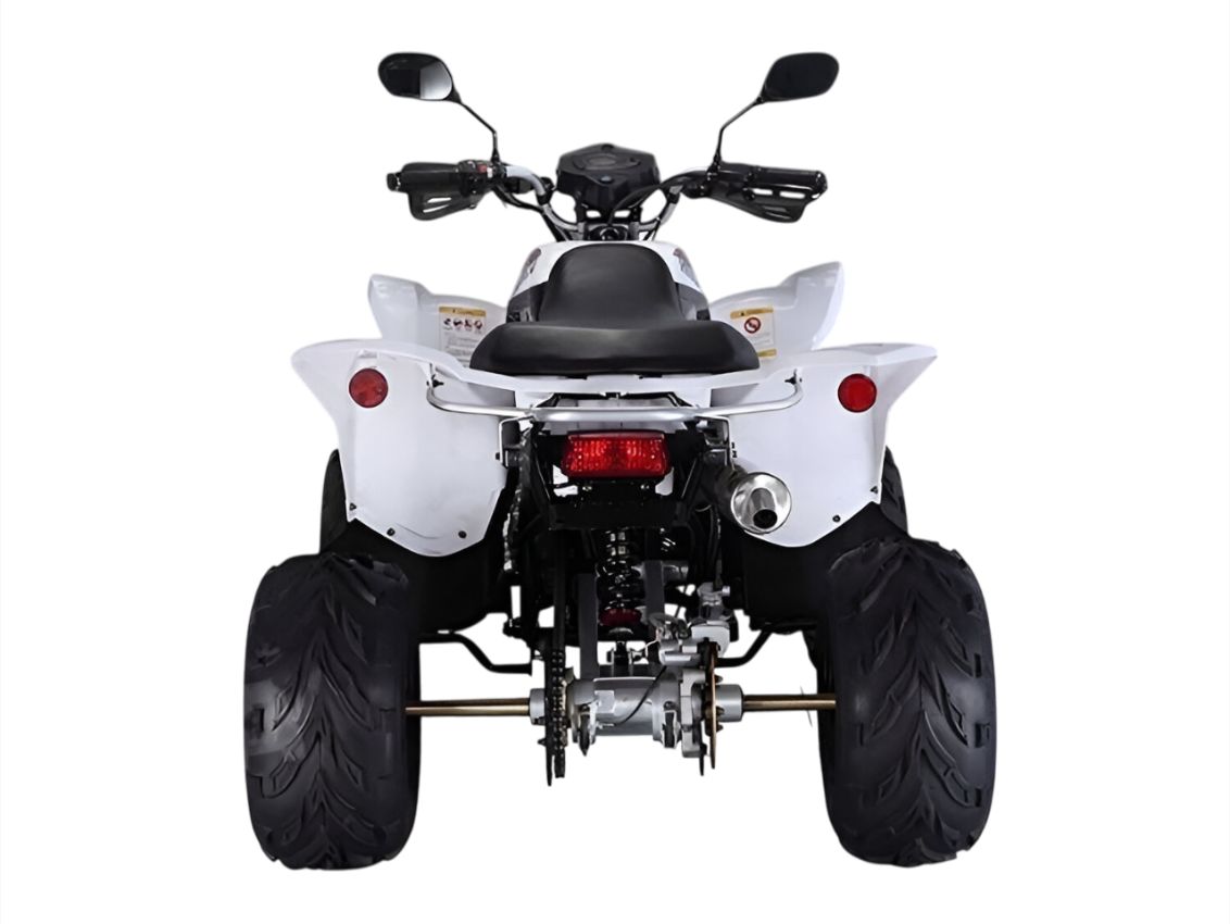 Купить Квадроцикл RATO RТ250SТ-2 в Москве фото3