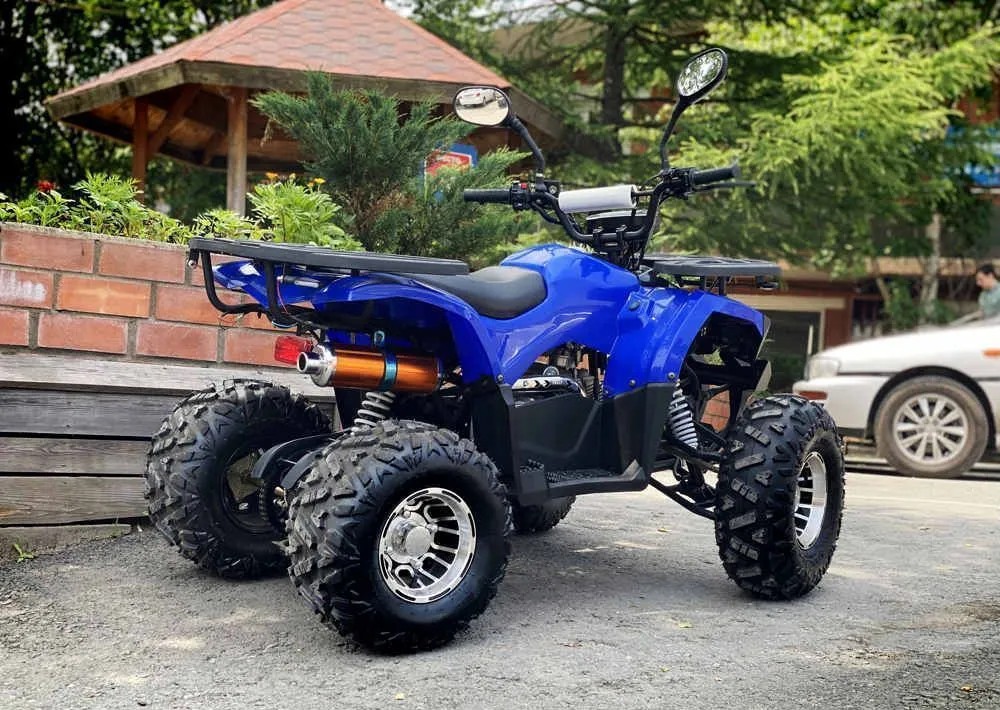 Купить Квадроцикл TIGER Extra 175cc (2024) в Москве фото16