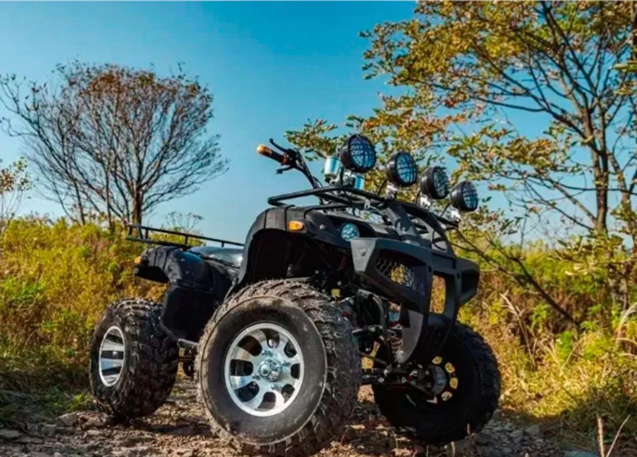 Купить Квадроцикл TIGER Sport 250 (2024) в Москве фото12
