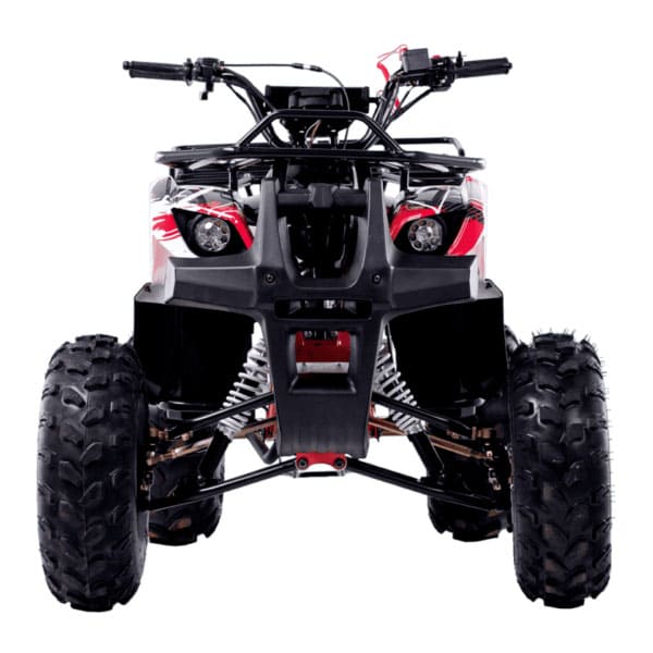 Купить Квадроцикл WELS Thunder 125 Basic в Москве фото3