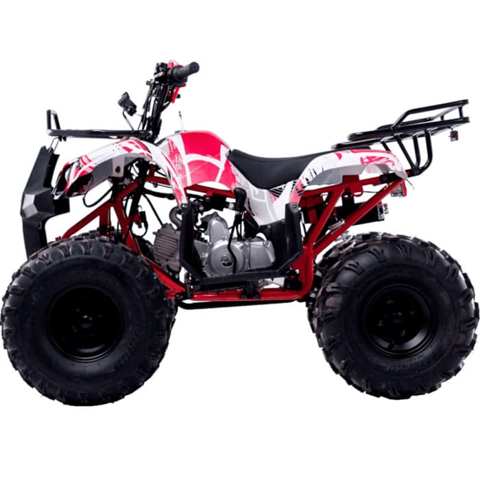 Купить Квадроцикл WELS Thunder 125 Basic в Москве фото4