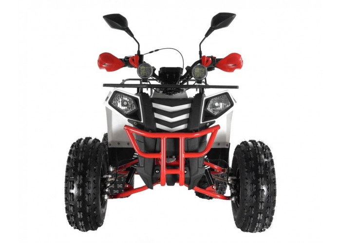 Купить Квадроцикл WELS Thunder Evo LUX X 125 в Москве фото2