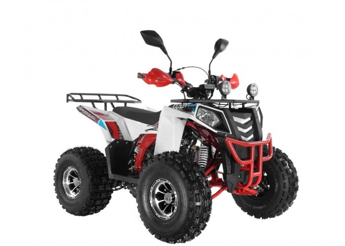 Купить Квадроцикл WELS Thunder Evo LUX X 125 в Москве фото3