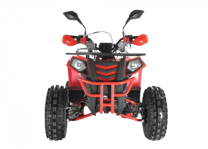 Купить Квадроцикл WELS Thunder Evo LUX X 125 в Москве фото4