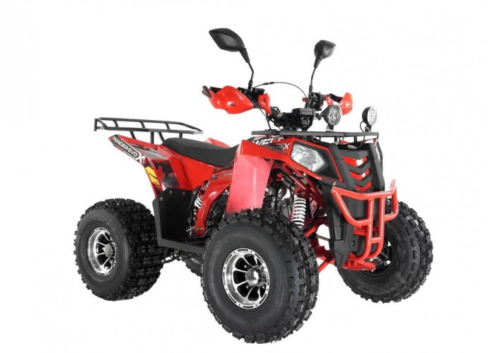 Купить Квадроцикл WELS Thunder Evo LUX X 125 в Москве фото5