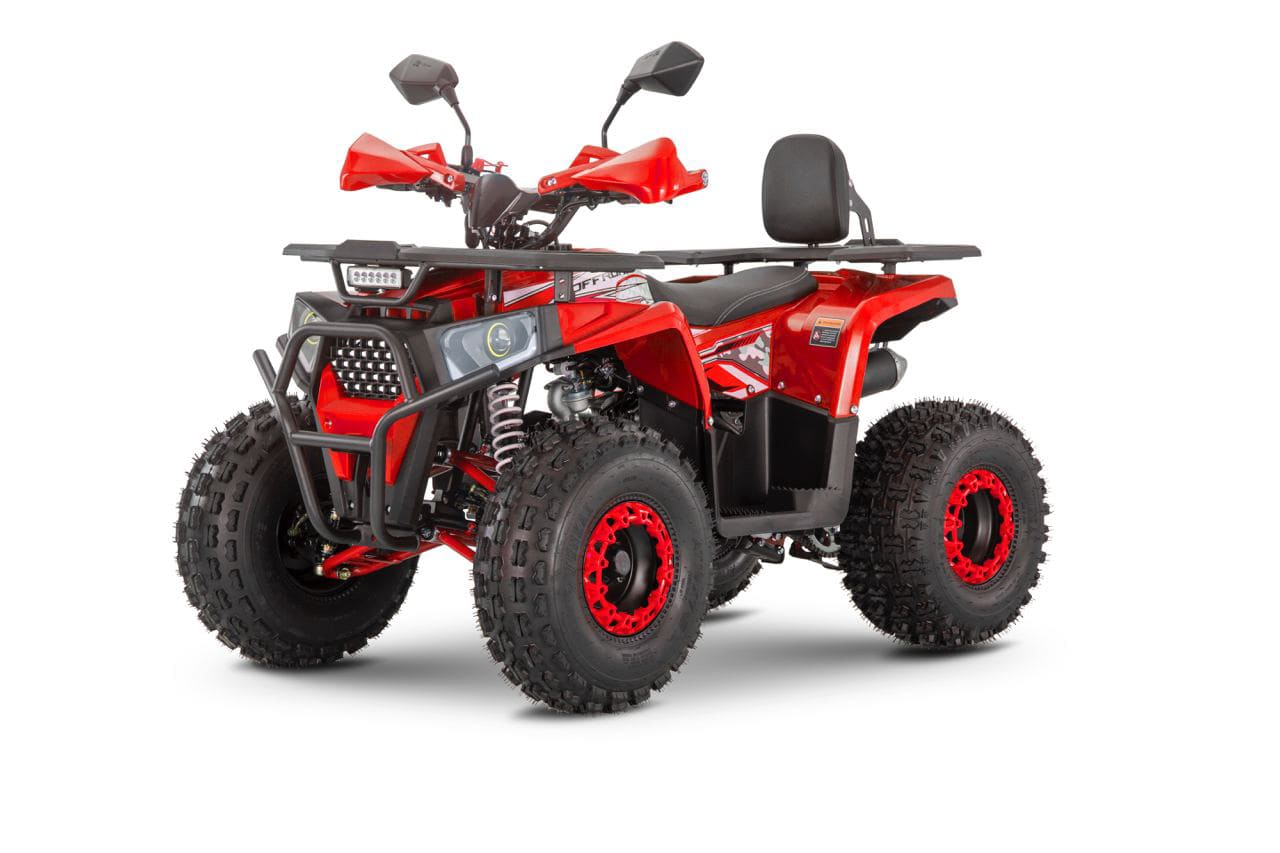 Купить Квадроцикл WELS Thunder Trail 125 Pro в Москве фото2
