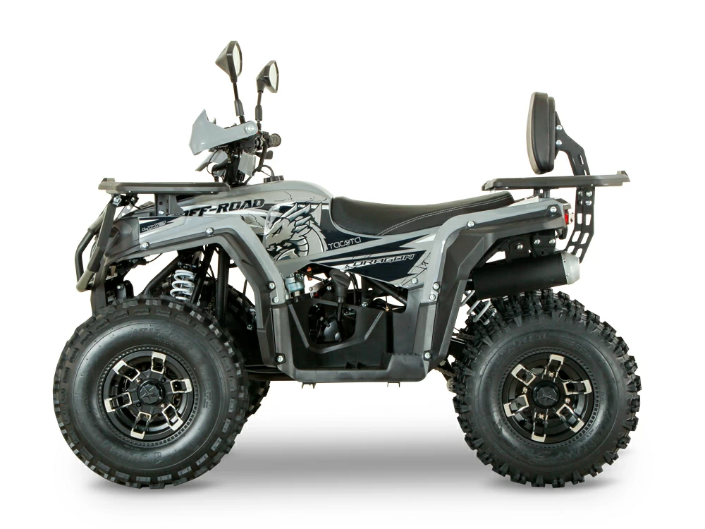 Купить Квадроцикл YACOTA Dragon 125 LUX-LD в Москве фото2