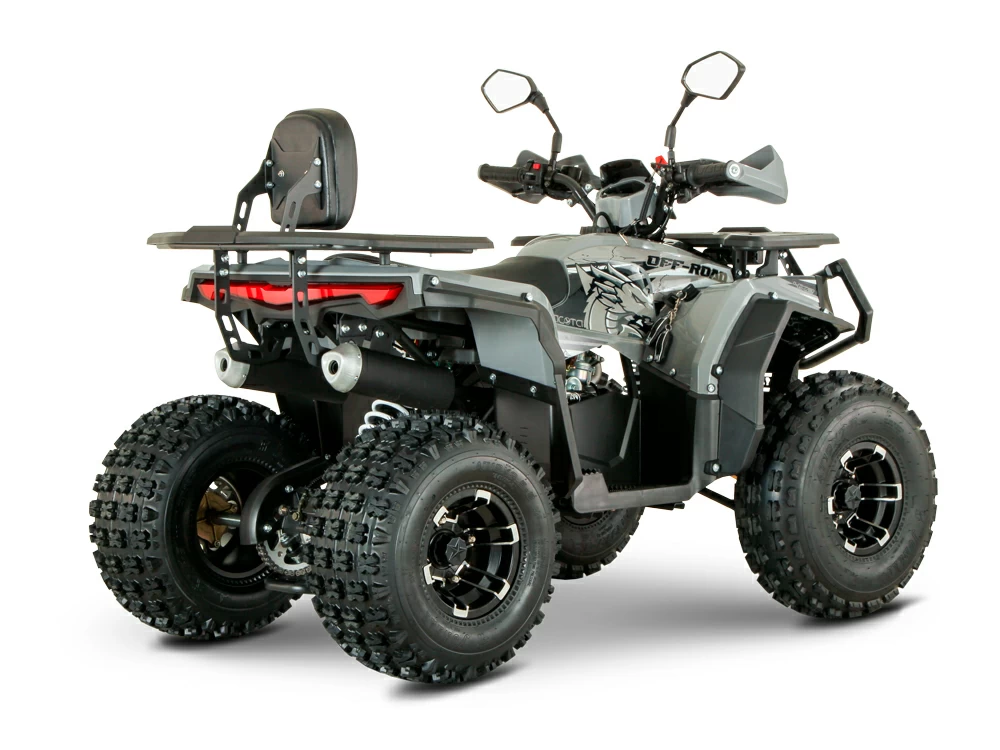 Купить Квадроцикл YACOTA Dragon 125 LUX-LD в Москве фото6