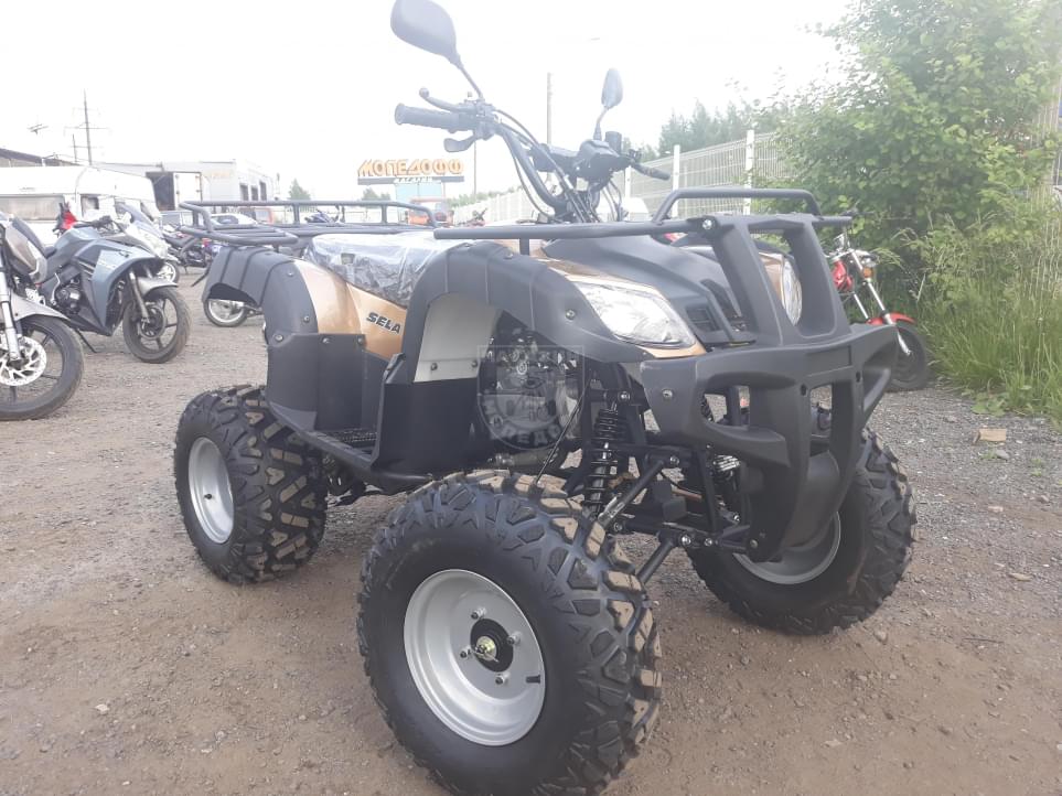 Купить Квадроцикл YACOTA Sela 150 в Москве фото5