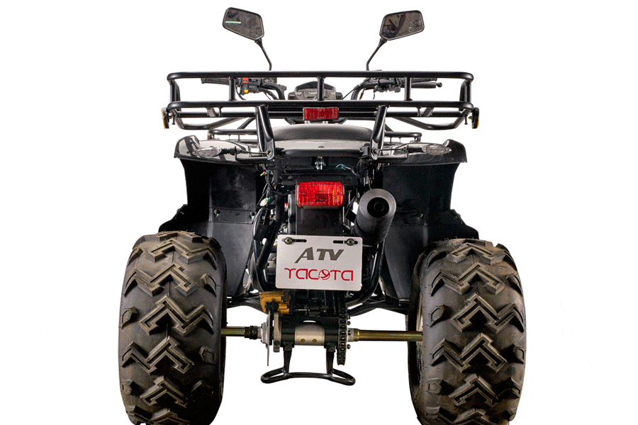 Купить Квадроцикл YACOTA Sela Lux 150 LD в Москве фото3