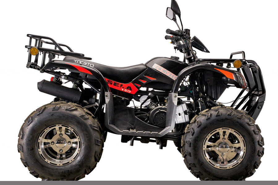 Купить Квадроцикл YACOTA Sela Lux 150 LD в Москве фото4