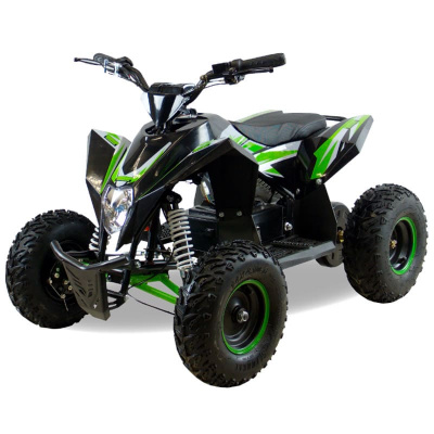 Купить Электроквадроцикл MOTAX GEKKON 1300W в Москве