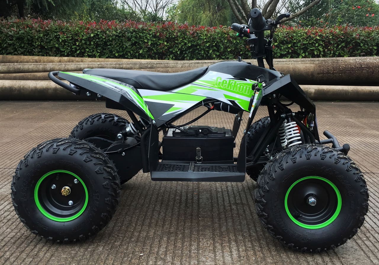 Купить Электроквадроцикл MOTAX GEKKON 1300W в Москве фото4