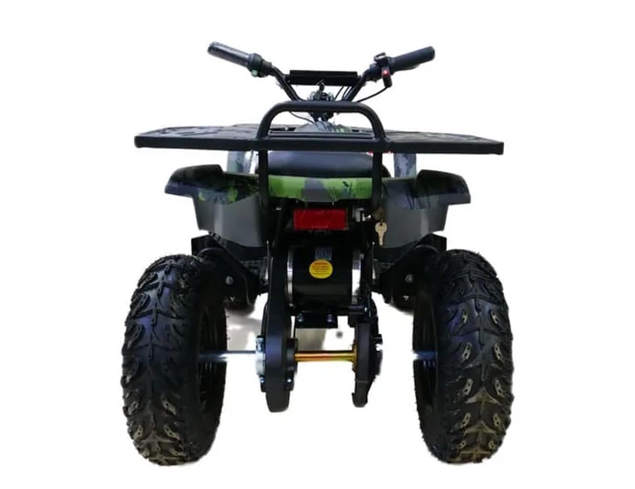 Купить Электроквадроцикл MOTAX Grizlik X16 New E1000 в Москве фото4