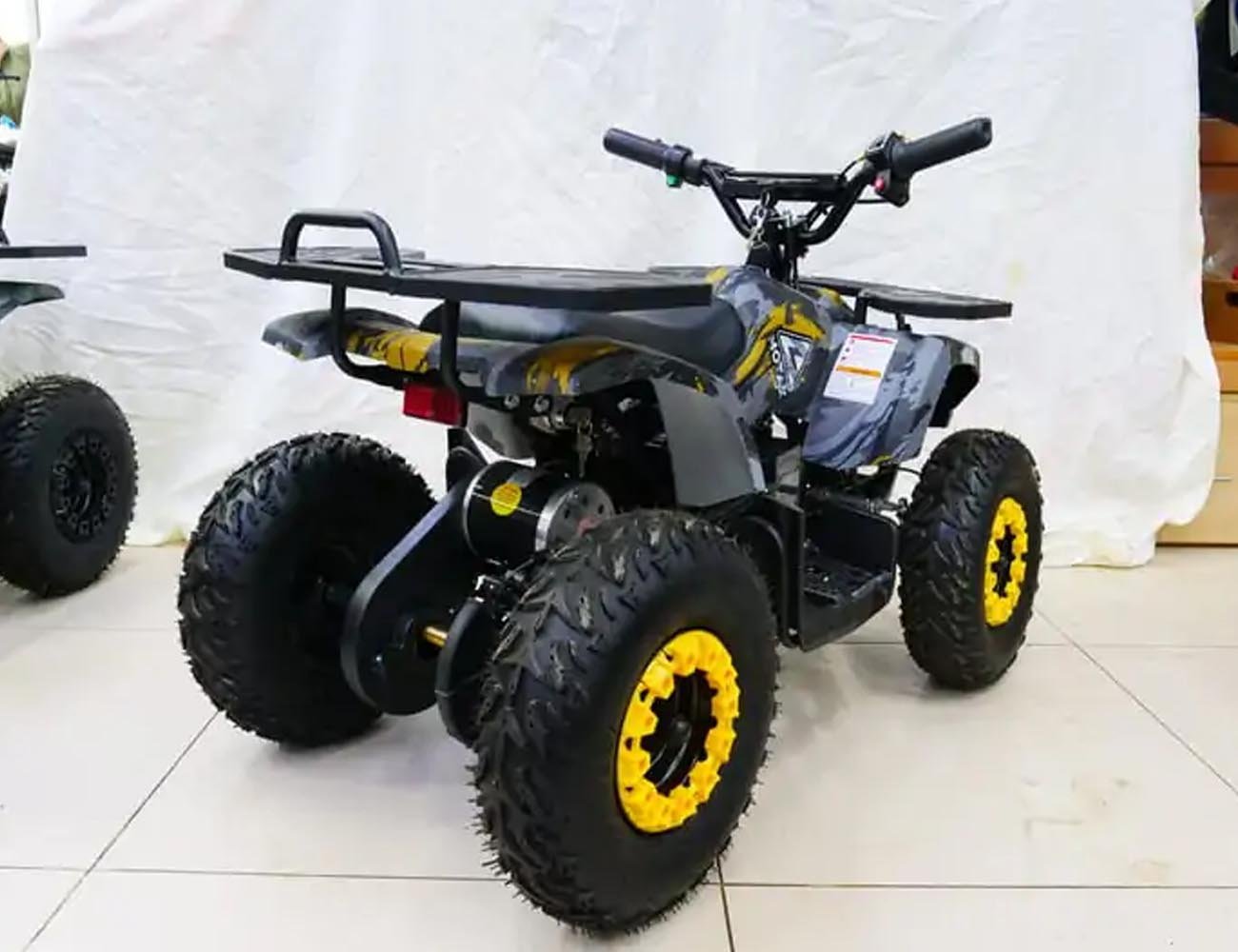 Купить Электроквадроцикл MOTAX Grizlik X16 New E1000 в Москве фото9