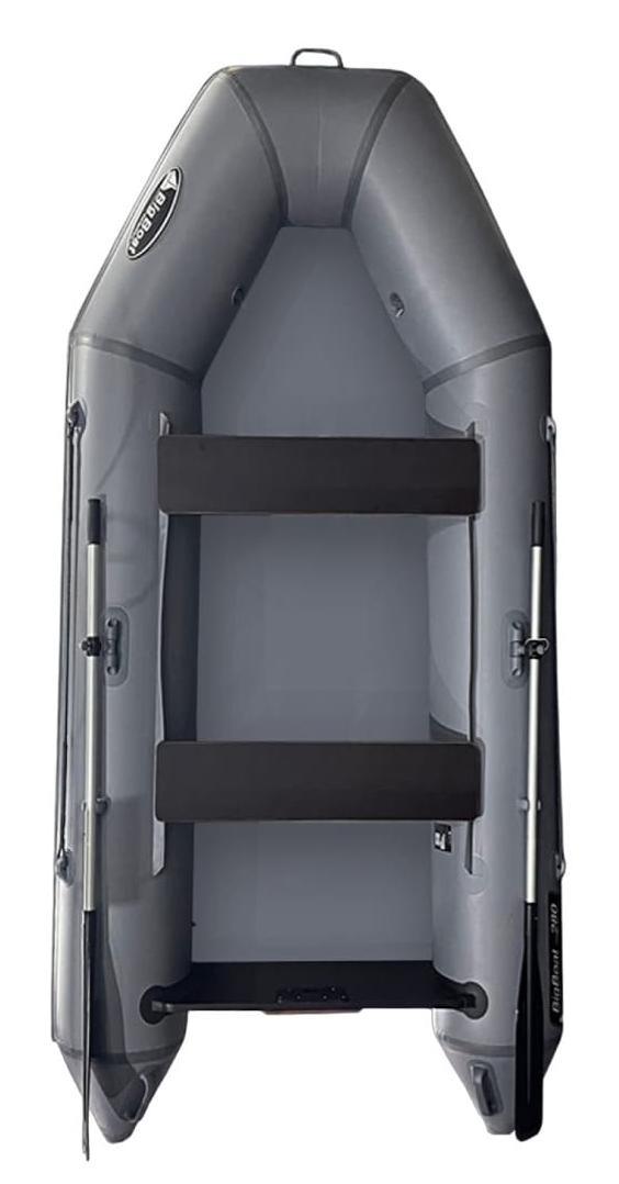 Купить Лодка ПВХ BIG BOAT TM280 в Москве