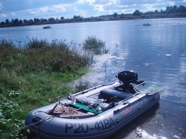 Купить 4х-тактный лодочный мотор MERCURY ME F 4 ML Sail Power в Москве фото2