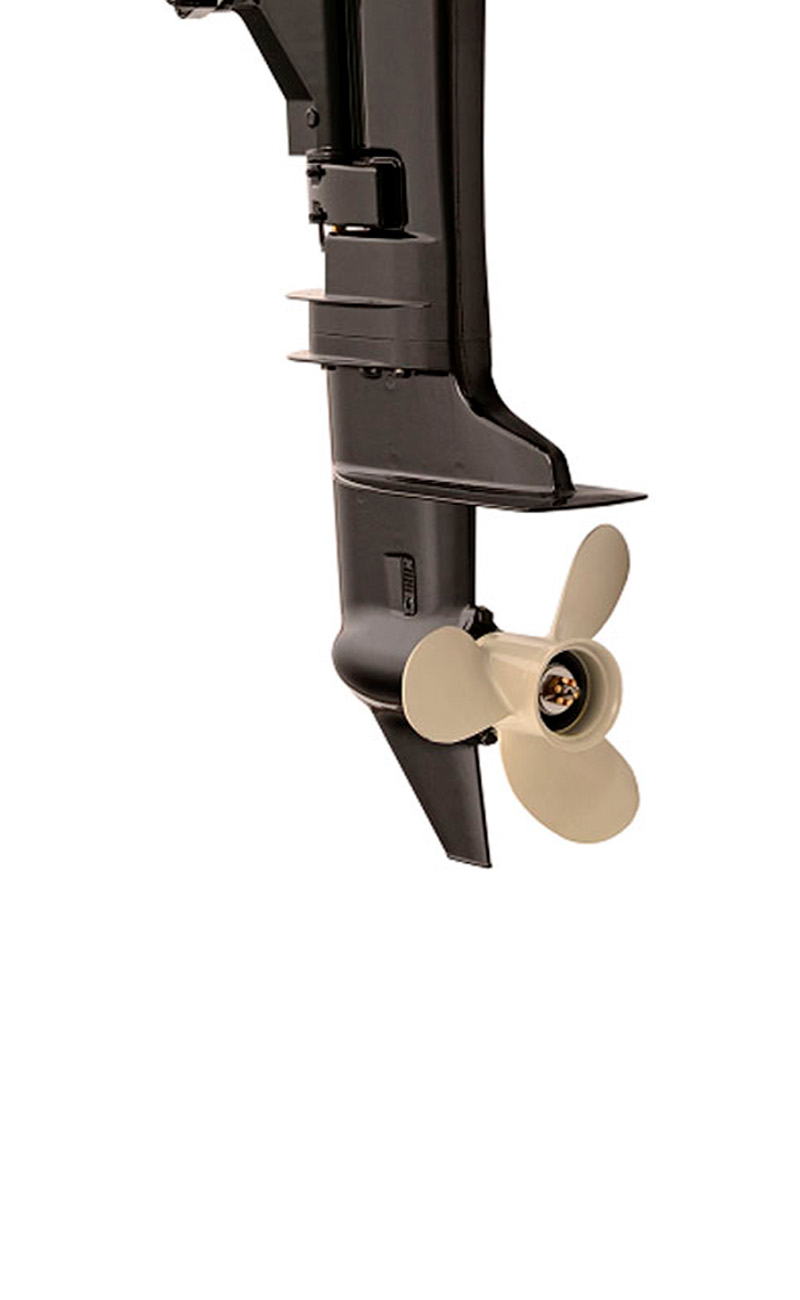 Купить 2х-тактный лодочный мотор WATERMAN T8 BMS в Москве фото3