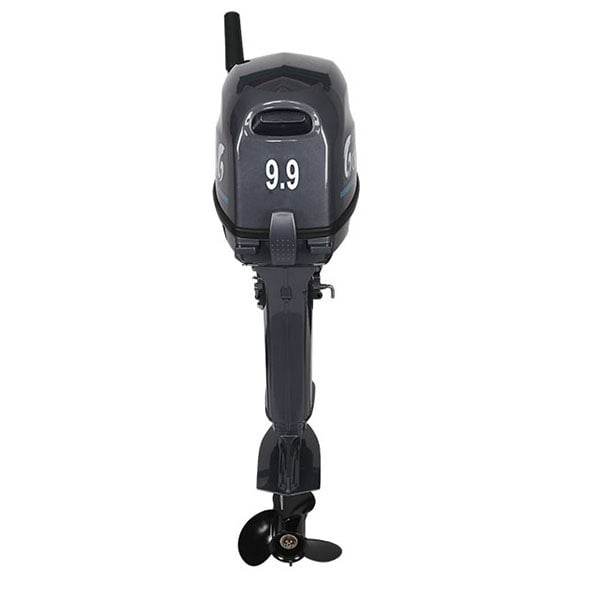 Купить 2х-тактный лодочный мотор ALLFA CG Т9.9 MAX BWS в Москве фото2
