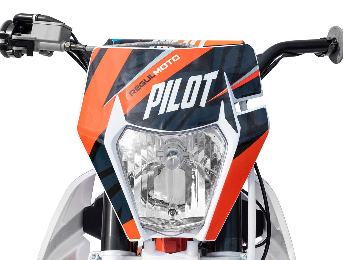 Купить Мотоцикл REGULMOTO Pilot 110EA 14/12 PITBIKE в Москве фото7