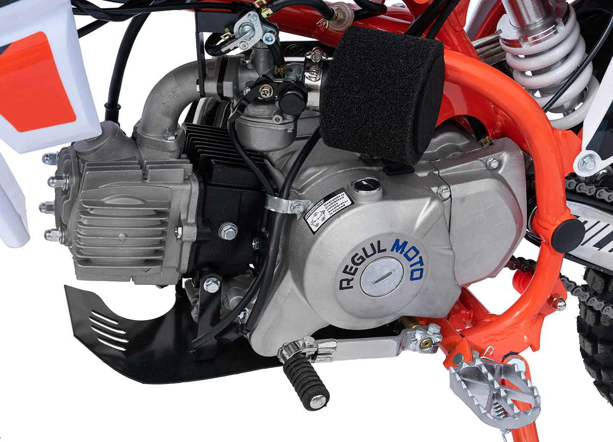 Купить Мотоцикл REGULMOTO Pilot 110EA 14/12 PITBIKE в Москве фото12