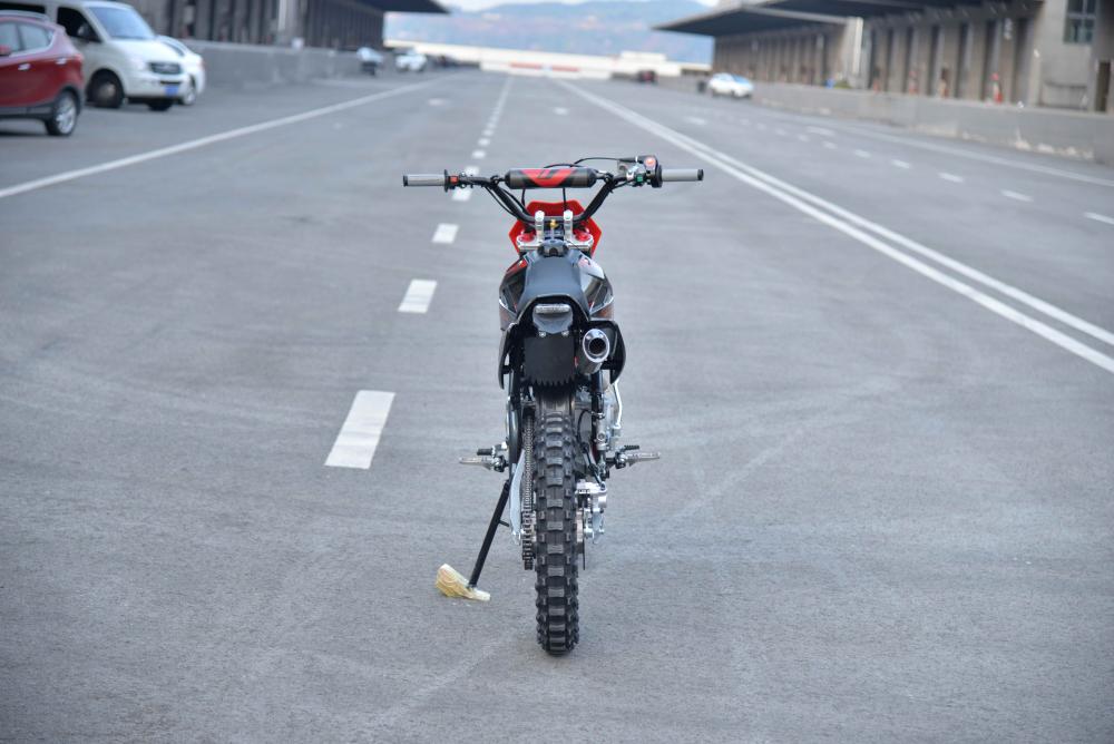 Купить Мотоцикл REGULMOTO Seven Medalist Pro 19/16 PITBIKE в Москве фото7