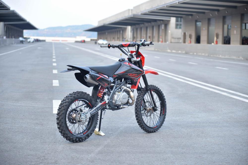 Купить Мотоцикл REGULMOTO Seven Medalist Pro 19/16 PITBIKE в Москве фото8