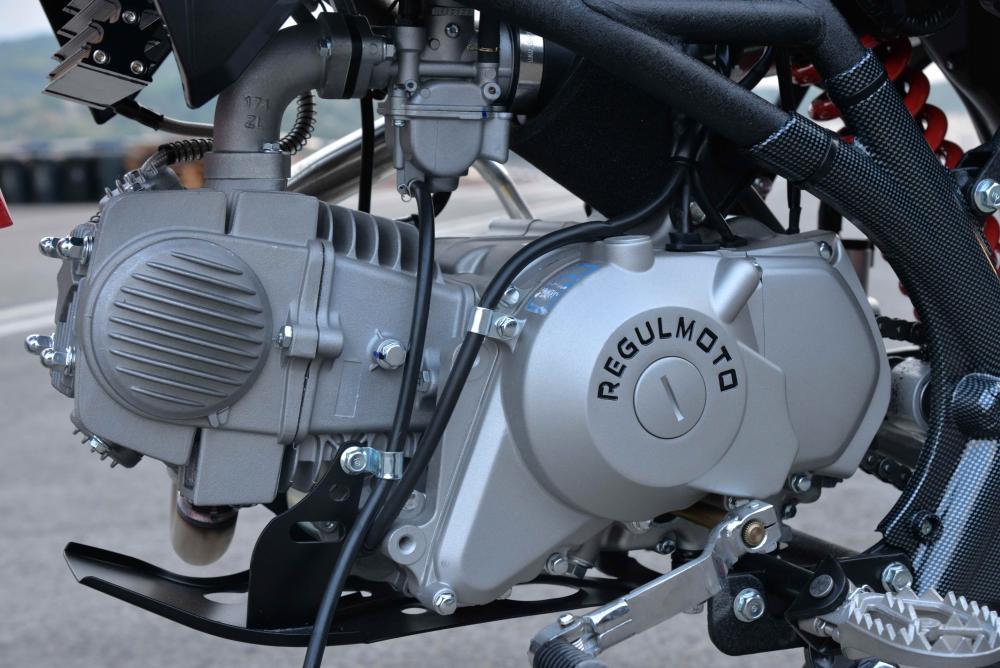 Купить Мотоцикл REGULMOTO Seven Medalist Pro 19/16 PITBIKE в Москве фото10