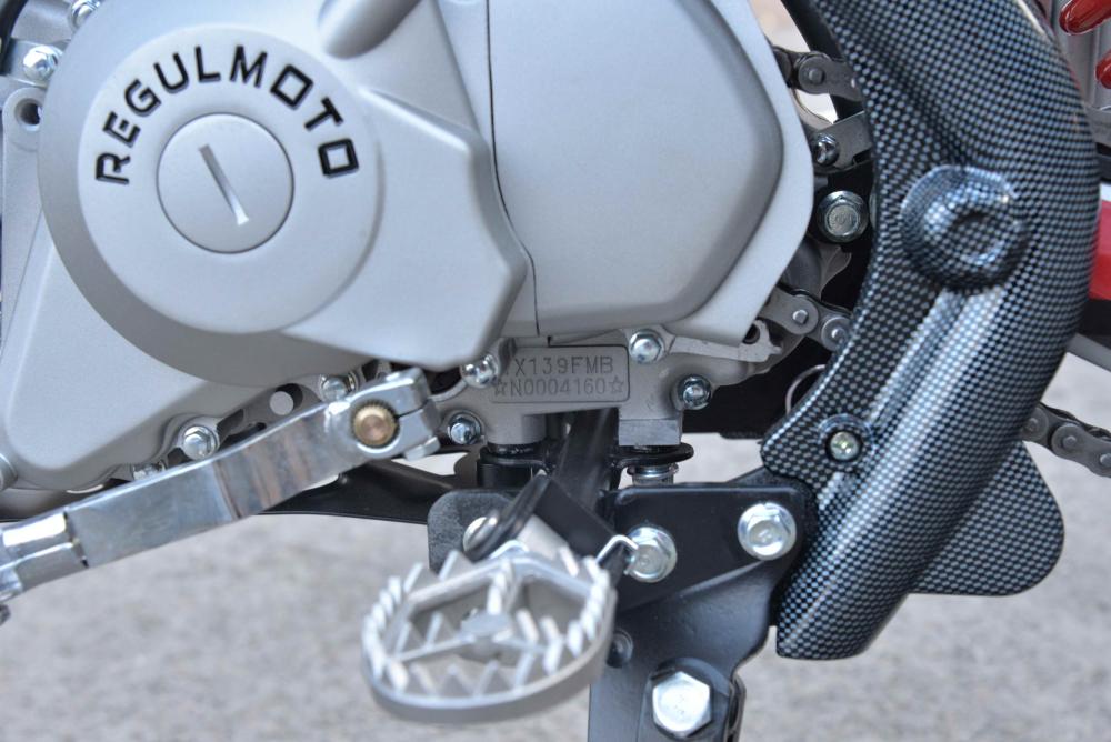 Купить Мотоцикл REGULMOTO Seven Medalist Pro 19/16 PITBIKE в Москве фото11