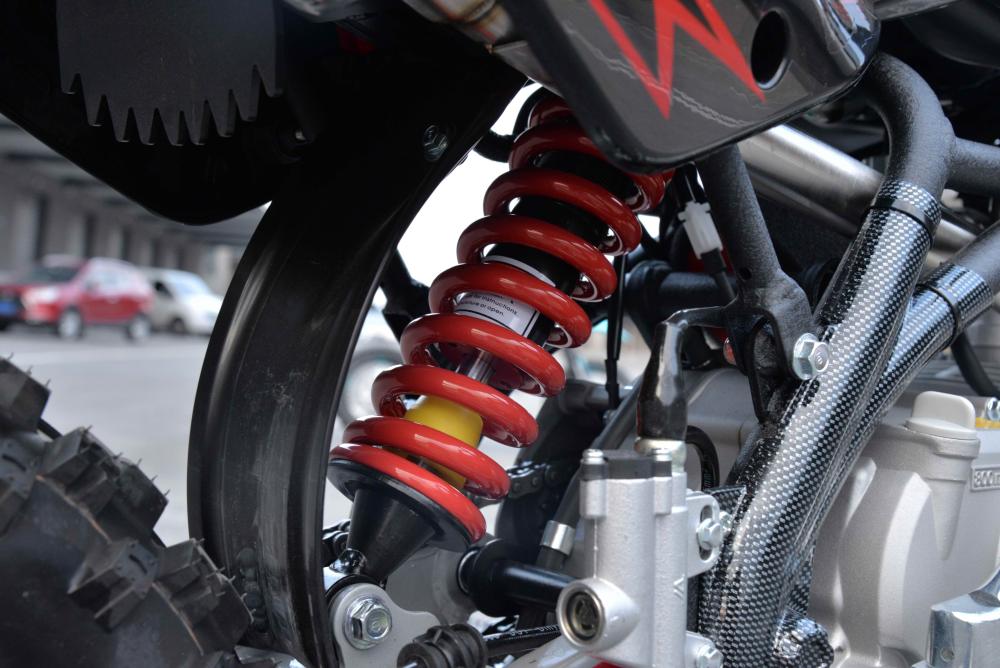 Купить Мотоцикл REGULMOTO Seven Medalist Pro 19/16 PITBIKE в Москве фото15