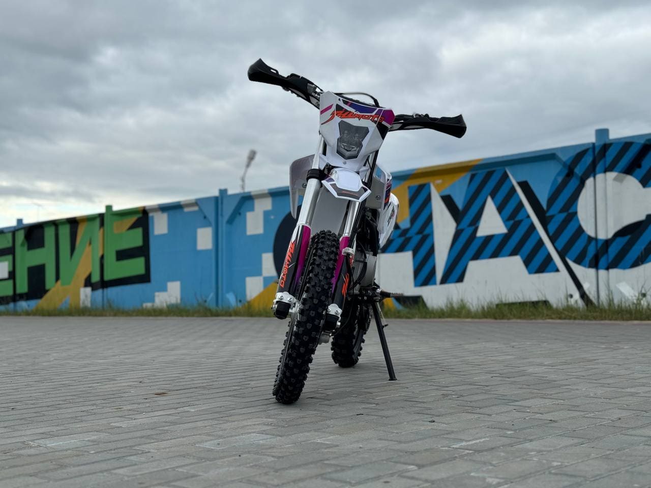 Купить Мотоцикл JHL Z140E Pro PITBIKE в Москве фото19