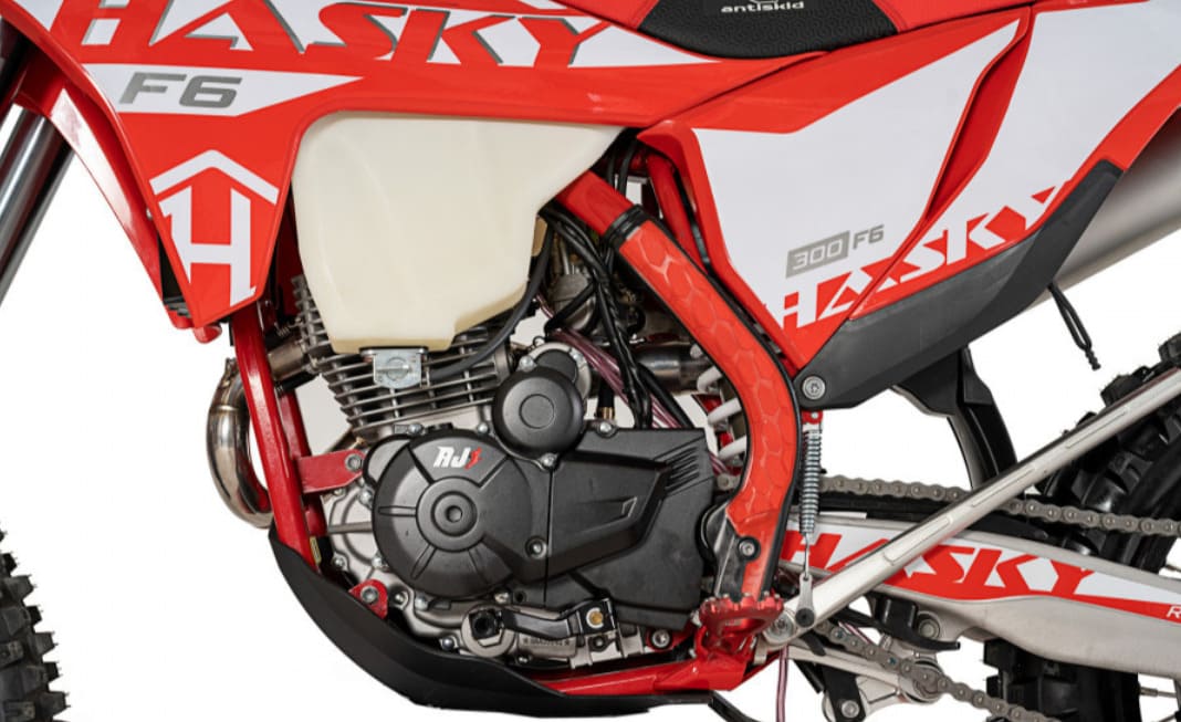 Купить Мотоцикл кроссовый эндуро HASKY F6 Racing 175FMN PR300 в Москве фото9