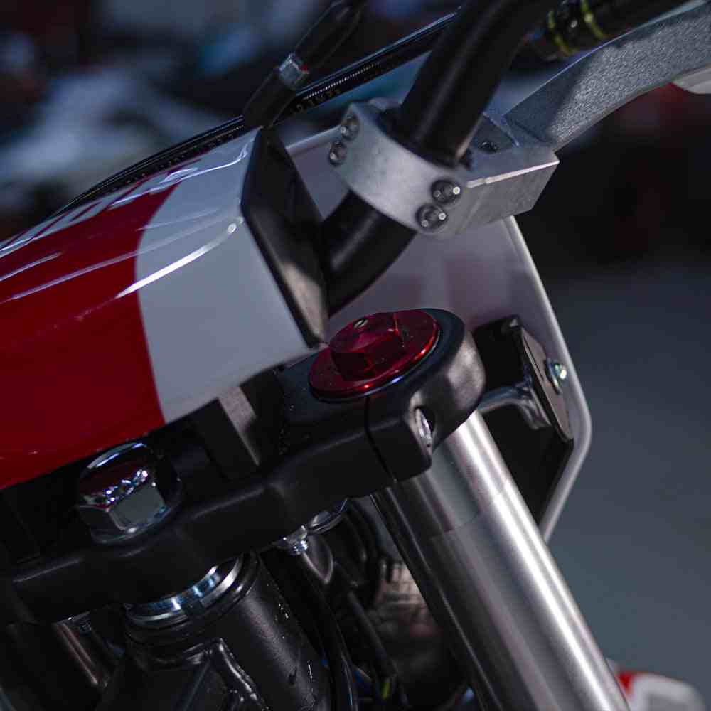 Купить Мотоцикл PITONMOTO MX4 PR300 21/18 ENDURO в Москве фото6