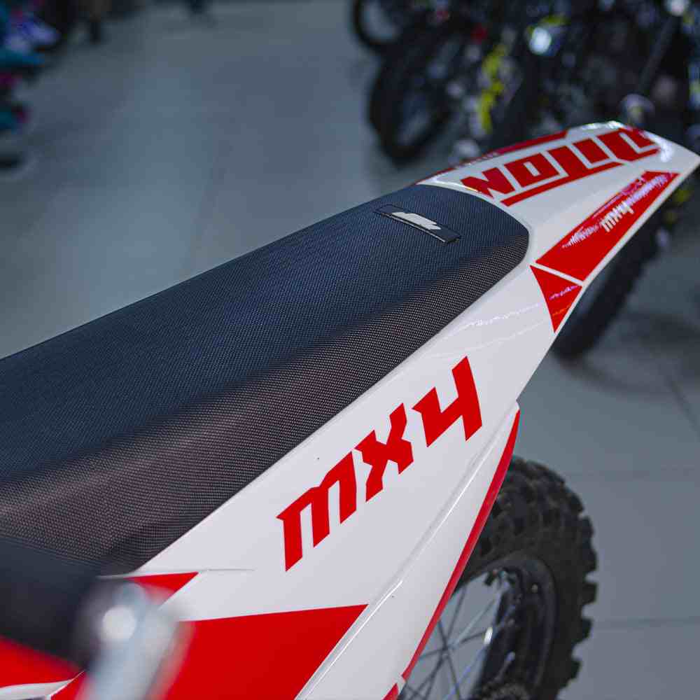 Купить Мотоцикл PITONMOTO MX4 PR300 21/18 ENDURO в Москве фото8