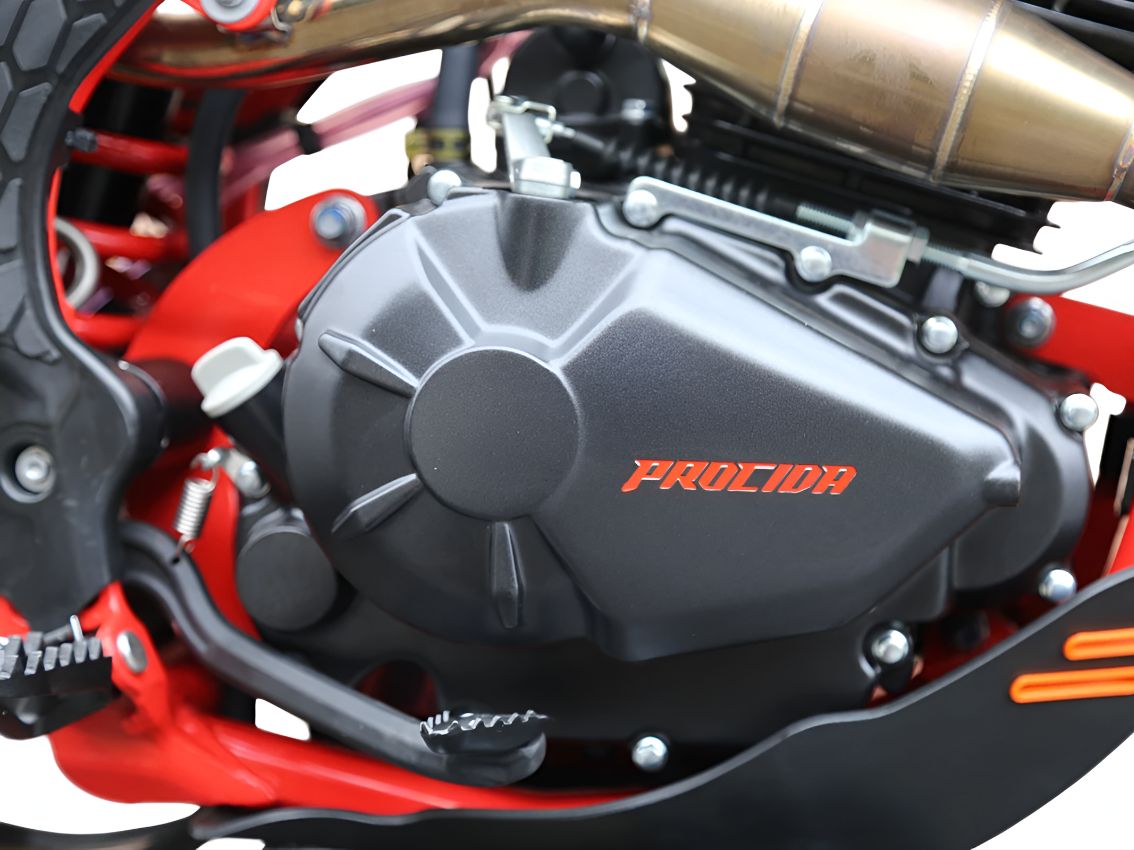 Купить Мотоцикл PROCIDA PR300 ENDURO в Москве фото4