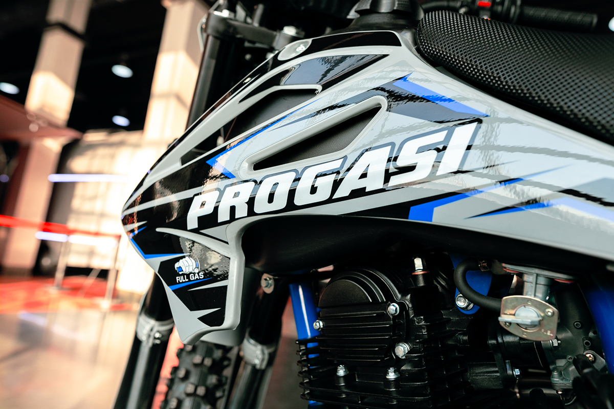 Купить Мотоцикл кроссовый эндуро PROGASI Palma 300 в Москве фото6