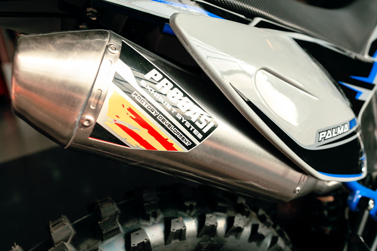 Купить Мотоцикл кроссовый эндуро PROGASI Palma 300 в Москве фото9