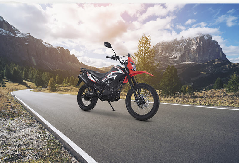 Купить Мотоцикл LIFAN LF250GY-4D ТУРЭНДУРО в Москве фото4