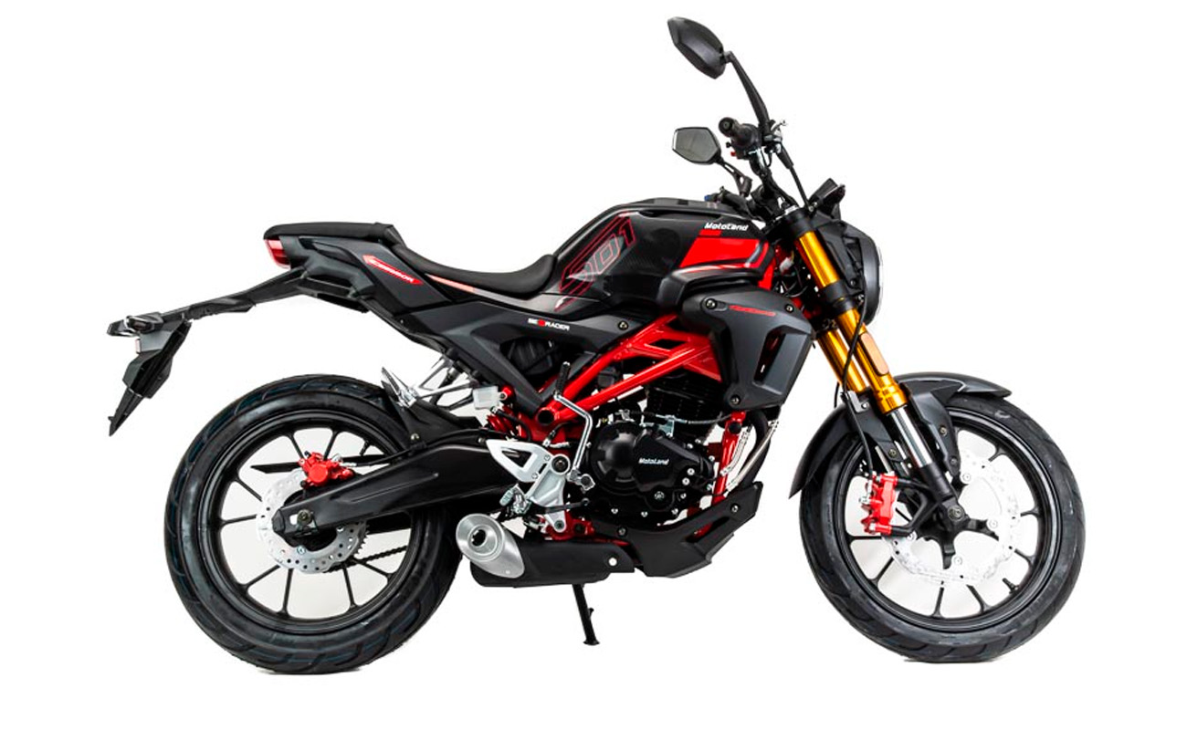 Купить Мотоцикл MOTOLAND 501 (172FMM-5/PR250) ТУРЭНДУРО в Москве