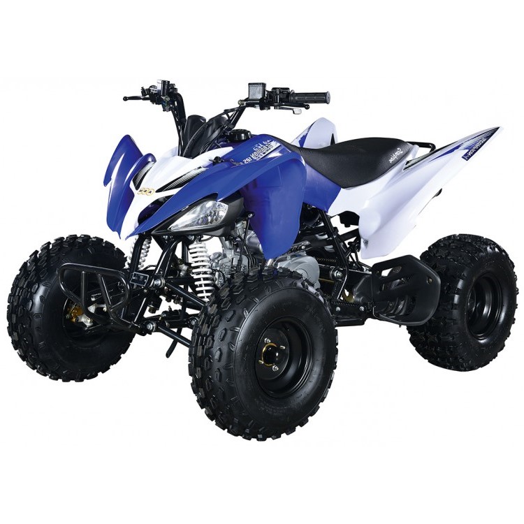 Купить Квадроцикл ABM Scorpion 125M в Москве