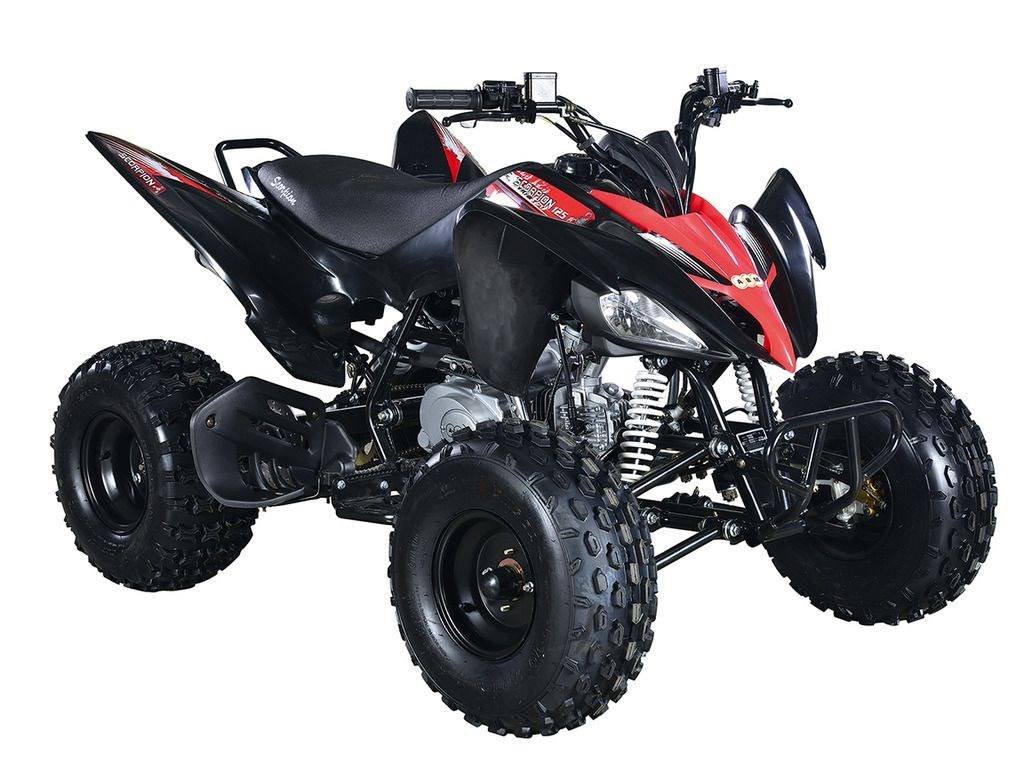 Купить Квадроцикл ABM Scorpion 125M в Москве фото2