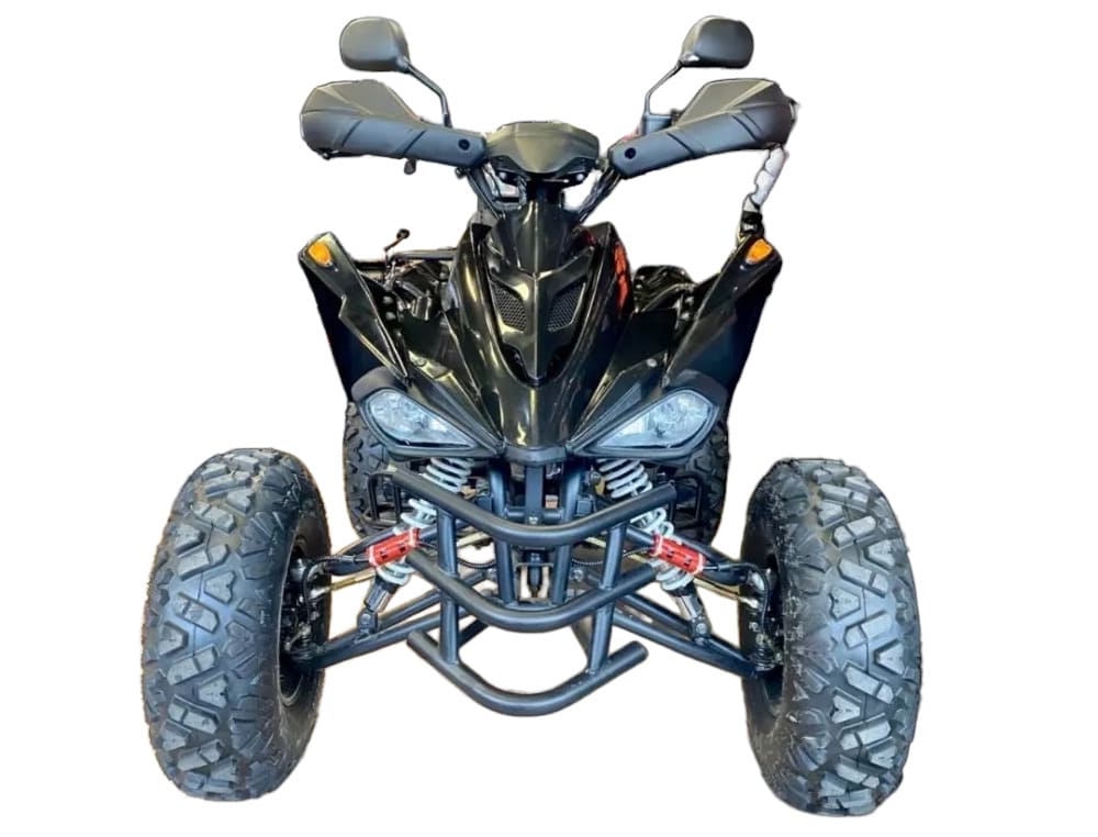 Купить Квадроцикл MOTORHEAD RockIt 200 в Москве фото2