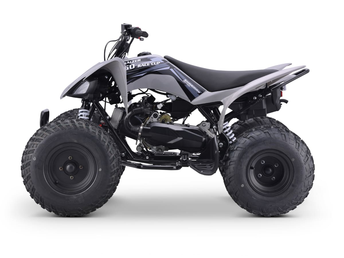Купить Квадроцикл SHARMAX Raizer Race Cup 250 в Москве фото2